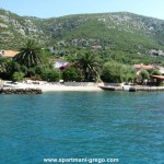 IMG_2628 [Apartmani GREGO Viganj]