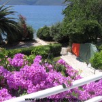 IMG_2767 [Apartmani GREGO Viganj]